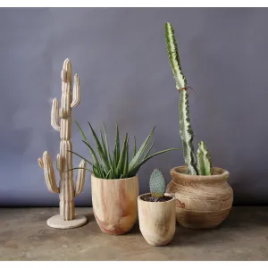 Paulownia Wood Planters, Set of 2