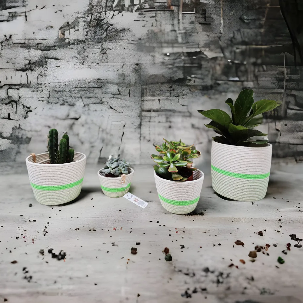 Planter Fluo Green