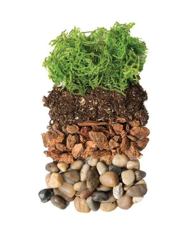 Portland Terrarium Kit