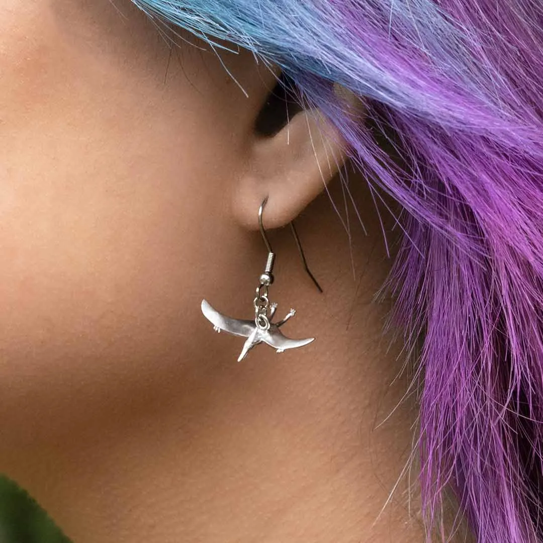 Pteradactyl & Stegosaurus Earrings