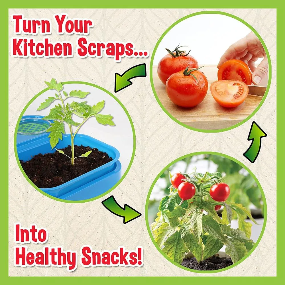 Science To The Max ReGrow Science Kit