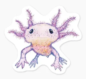 Sticker - Axolotol - 3in