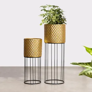 Verdant Oasis Metal Planters - Pair